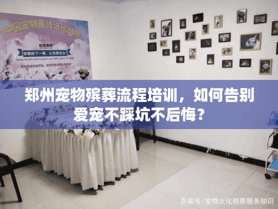 郑州宠物殡葬流程培训，如何告别爱宠不踩坑不后悔？