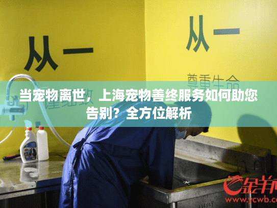 当宠物离世，上海宠物善终服务如何助您告别？全方位解析