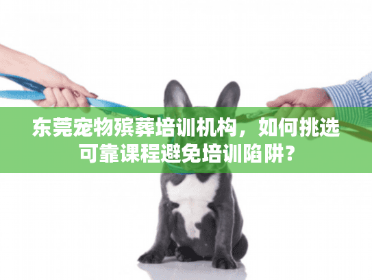 东莞宠物殡葬培训机构，如何挑选可靠课程避免培训陷阱？