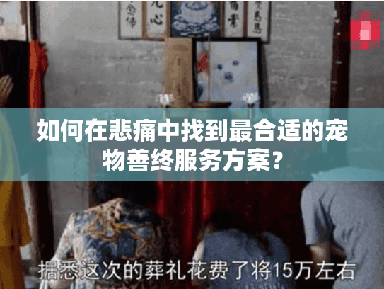如何在悲痛中找到最合适的宠物善终服务方案？