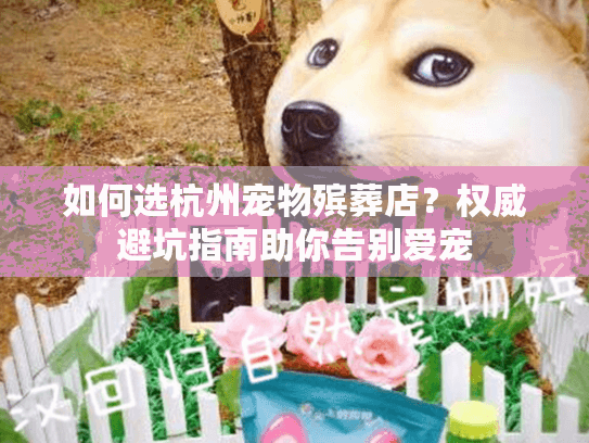 如何选杭州宠物殡葬店？权威避坑指南助你告别爱宠