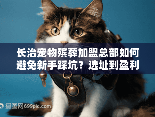 长治宠物殡葬加盟总部如何避免新手踩坑图片