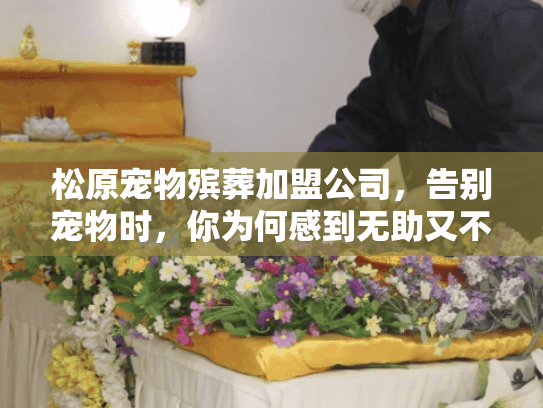 松原宠物殡葬加盟公司,告别宠物时,你为何感到无助又不知所措? 松原宠物殡葬加盟公司,告别宠物时,你为何感到无助又不知所措?
