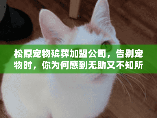 松原宠物殡葬加盟公司,告别宠物时,你为何感到无助又不知所措? 松原宠物殡葬加盟公司,告别宠物时,你为何感到无助又不知所措?