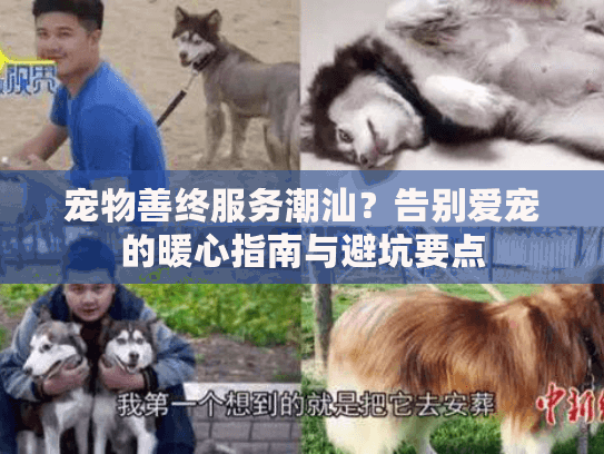 宠物善终服务潮汕？告别爱宠的暖心指南与避坑要点