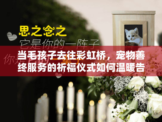 当毛孩子去往彩虹桥，宠物善终服务的祈福仪式如何温暖告别？