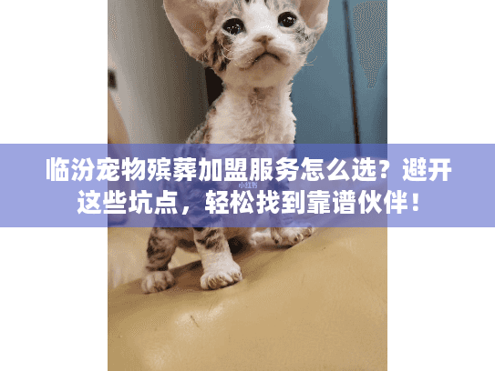 临汾宠物殡葬加盟服务怎么选?避开这些坑点,轻松找到靠谱伙伴! 临汾宠物殡葬加盟服务怎么选?避开这些坑点,轻松找到靠谱伙伴!