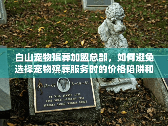 白山宠物殡葬加盟总部,如何避免选择宠物殡葬服务时的价格陷阱和服务缺失? 白山宠物殡葬加盟总部,如何避免选择宠物殡葬服务时的价格陷阱和服务缺失?