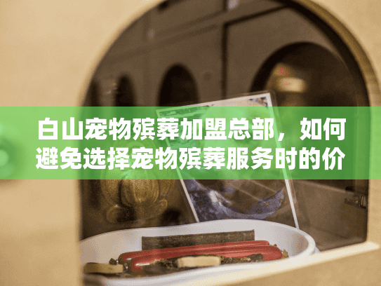 白山宠物殡葬加盟总部,如何避免选择宠物殡葬服务时的价格陷阱和服务缺失? 白山宠物殡葬加盟总部,如何避免选择宠物殡葬服务时的价格陷阱和服务缺失?