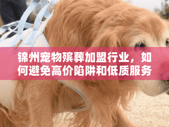 锦州宠物殡葬加盟行业，如何避免高价陷阱和低质服务？悲痛时刻的智慧选择指南