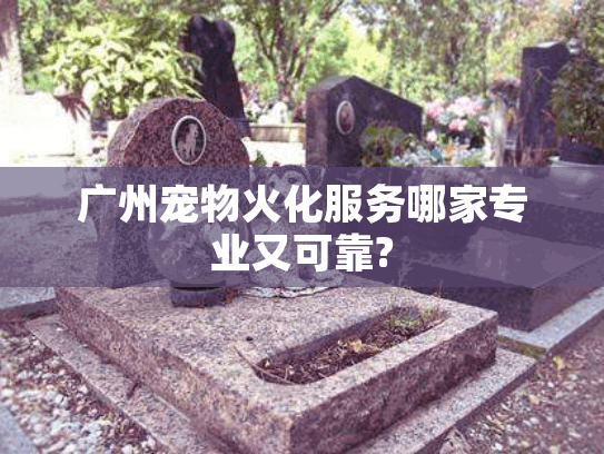 广州宠物火化服务哪家专业又可靠?