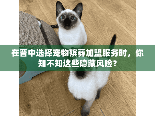 在晋中选择宠物殡葬加盟服务时，你知不知这些隐藏风险？