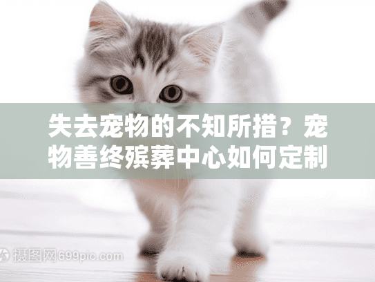 失去宠物的不知所措？宠物善终殡葬中心如何定制专业送别服务