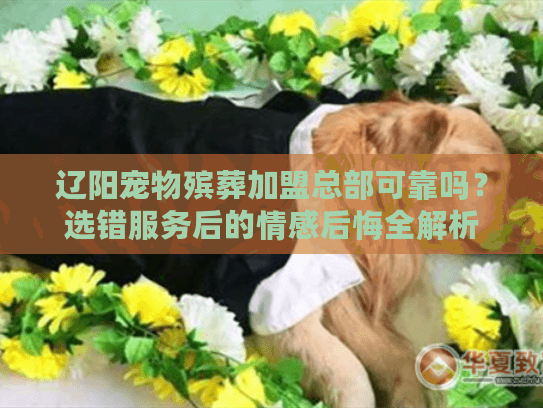 辽阳宠物殡葬加盟总部可靠吗图片