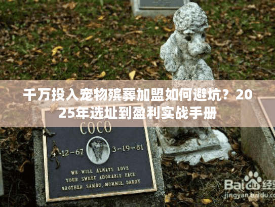 千万投入宠物殡葬加盟如何避坑？2025年选址到盈利实战手册