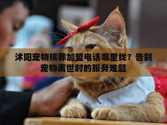 沭阳宠物殡葬加盟电话哪里找？告别宠物离世时的服务难题