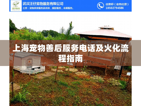 上海宠物善后服务电话及火化流程指南