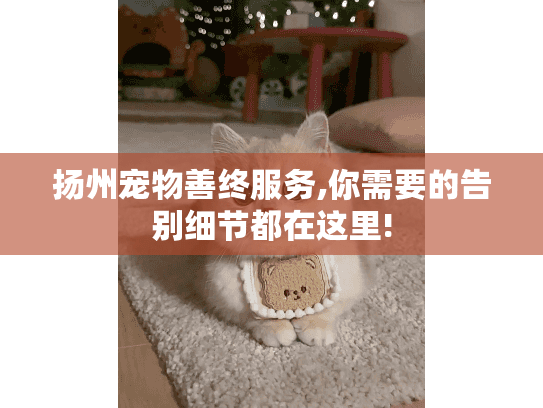 扬州宠物善终服务,你需要的告别细节都在这里!