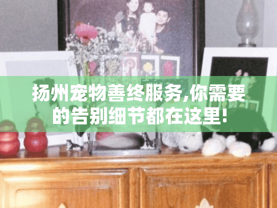 扬州宠物善终服务,你需要的告别细节都在这里!