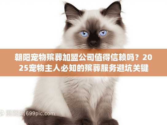 朝阳宠物殡葬加盟公司值得信赖吗？2025宠物主人必知的殡葬服务避坑关键
