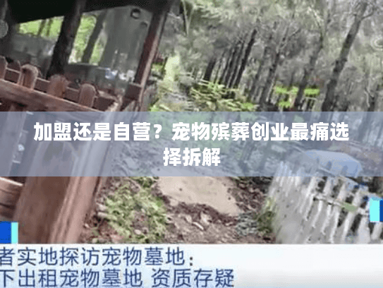 加盟还是自营？宠物殡葬创业最痛选择拆解