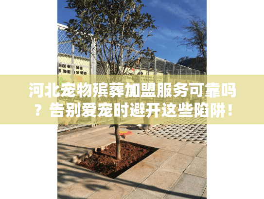 河北宠物殡葬加盟服务可靠吗？告别爱宠时避开这些陷阱！