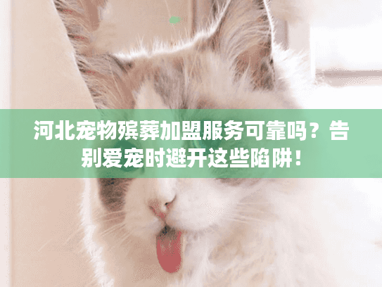 河北宠物殡葬加盟服务可靠吗？告别爱宠时避开这些陷阱！