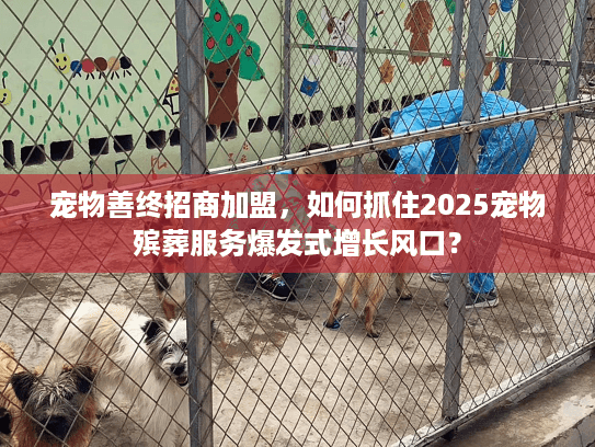 宠物善终招商加盟，如何抓住2025宠物殡葬服务爆发式增长风口？