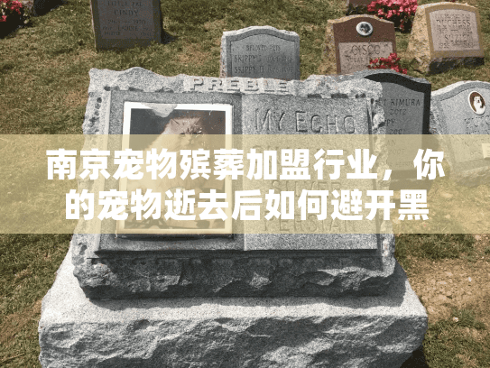 南京宠物殡葬加盟行业，你的宠物逝去后如何避开黑心服务陷阱？