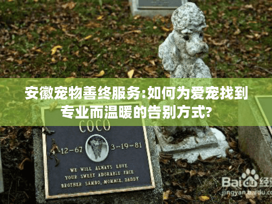 安徽宠物善终服务:如何为爱宠找到专业而温暖的告别方式?