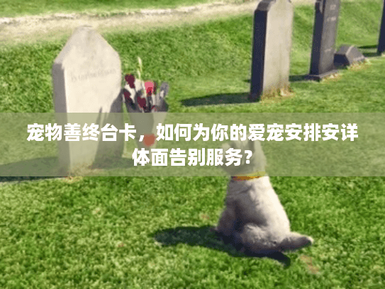 宠物善终台卡，如何为你的爱宠安排安详体面告别服务？