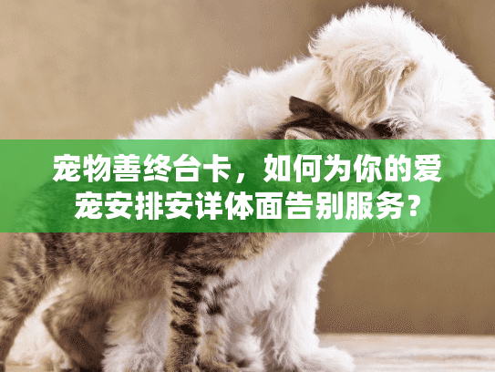 宠物善终台卡，如何为你的爱宠安排安详体面告别服务？