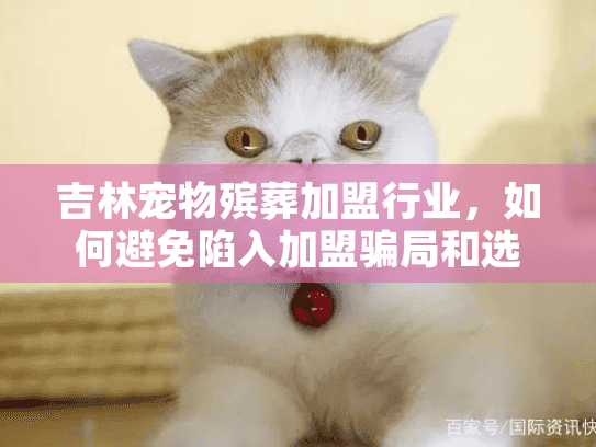 吉林宠物殡葬加盟行业，如何避免陷入加盟骗局和选错服务？