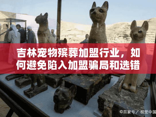 吉林宠物殡葬加盟行业，如何避免陷入加盟骗局和选错服务？