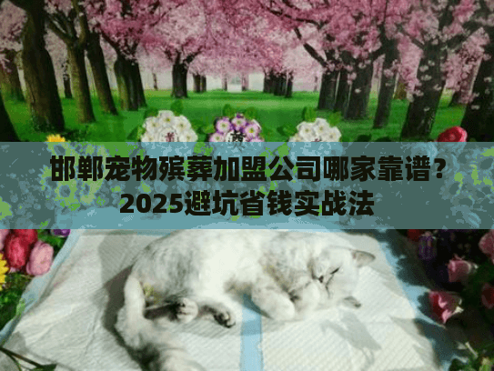 邯郸宠物殡葬加盟公司哪家靠谱？2025避坑省钱实战法