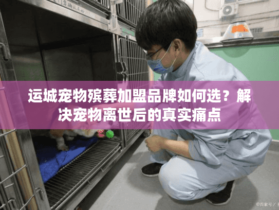 运城宠物殡葬加盟品牌如何选？解决宠物离世后的真实痛点