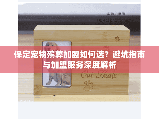 保定宠物殡葬加盟如何选？避坑指南与加盟服务深度解析