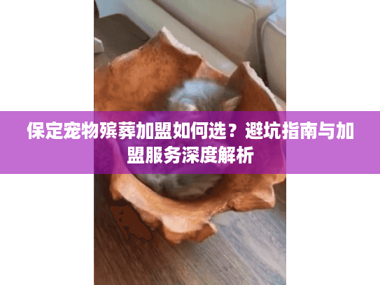 保定宠物殡葬加盟如何选？避坑指南与加盟服务深度解析