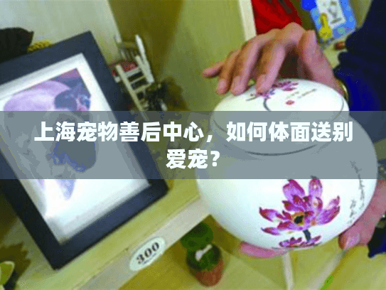 上海宠物善后中心，如何体面送别爱宠？