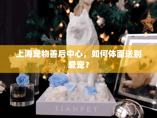 上海宠物善后中心，如何体面送别爱宠？