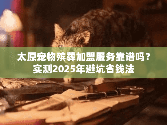 太原宠物殡葬加盟服务靠谱吗？实测2025年避坑省钱法