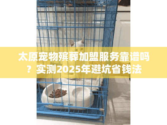 太原宠物殡葬加盟服务靠谱吗？实测2025年避坑省钱法