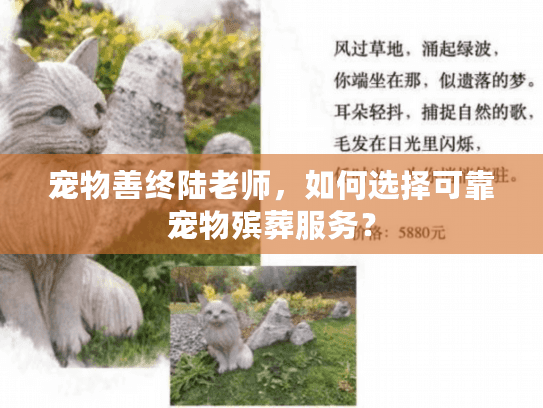 宠物善终陆老师，如何选择可靠宠物殡葬服务？