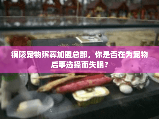 铜陵宠物殡葬加盟总部，你是否在为宠物后事选择而失眠？