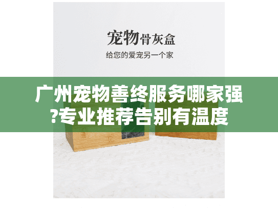 广州宠物善终服务哪家强?专业推荐告别有温度