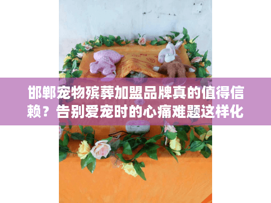 邯郸宠物殡葬加盟品牌真的值得信赖？告别爱宠时的心痛难题这样化解