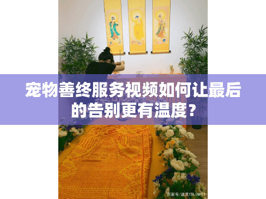 宠物善终服务视频如何让最后的告别更有温度？
