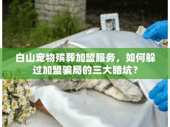 白山宠物殡葬加盟服务，如何躲过加盟骗局的三大暗坑？