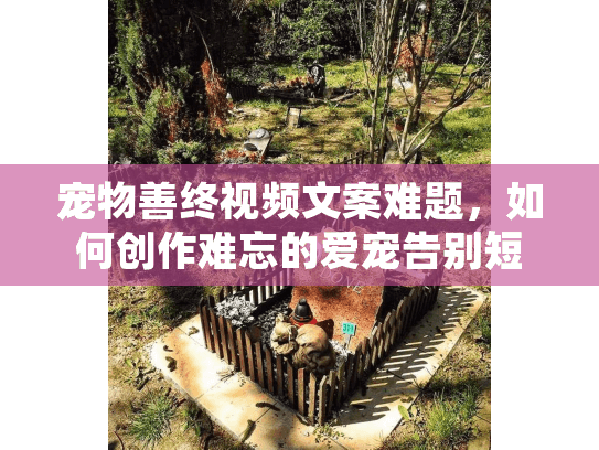 宠物善终视频文案难题，如何创作难忘的爱宠告别短片？56字符）