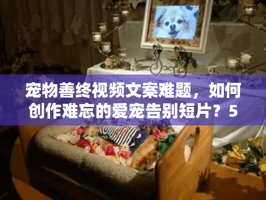宠物善终视频文案难题，如何创作难忘的爱宠告别短片？56字符）